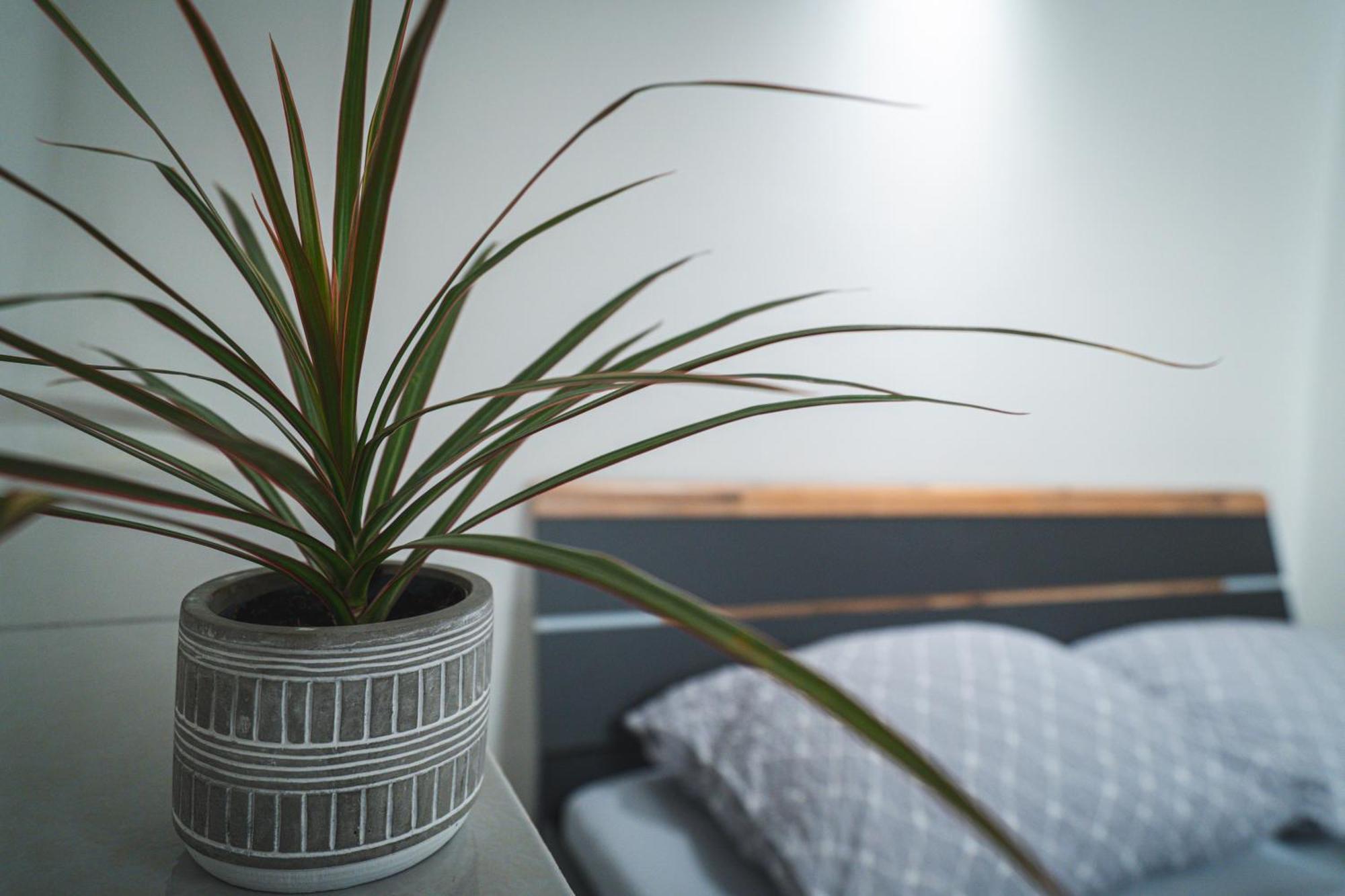 Apartmany V Podzamci Náchod Buitenkant foto